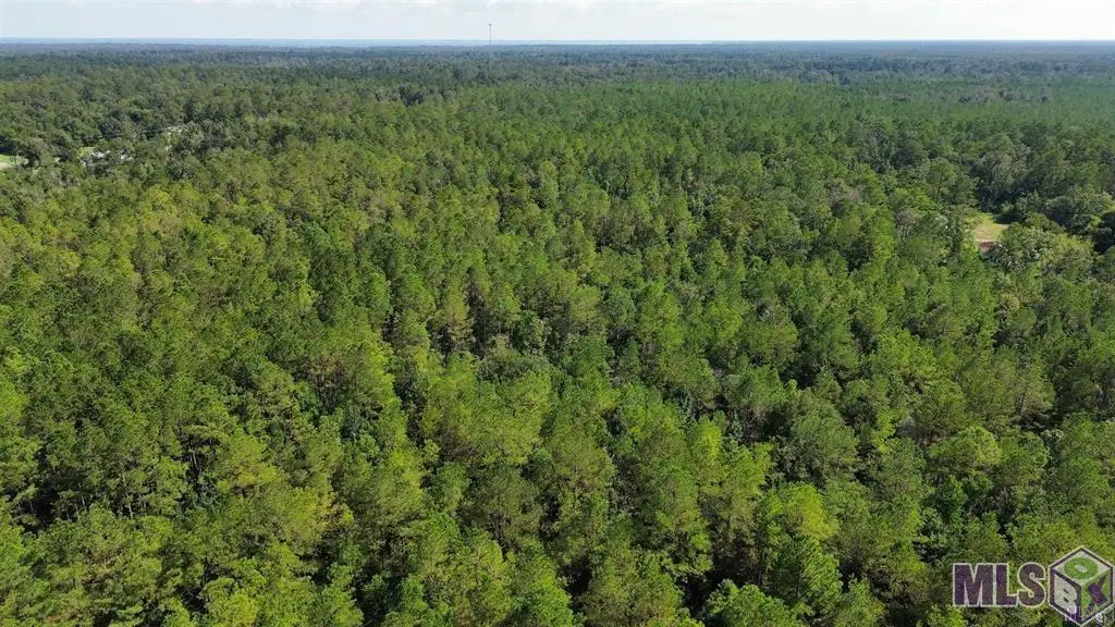 TBD Golden St, Killian, LA 70462 - #1