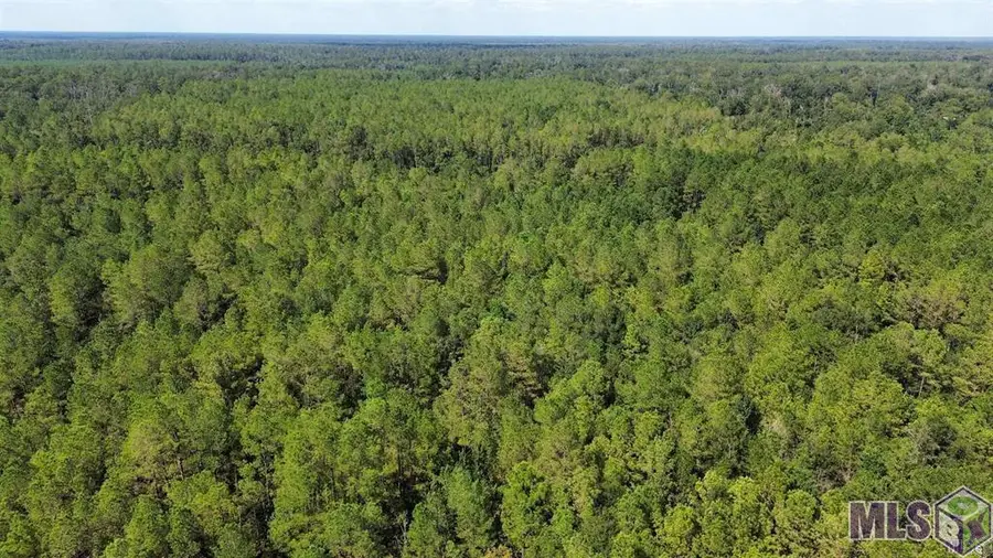 TBD Golden St, Killian, LA 70462 - #2