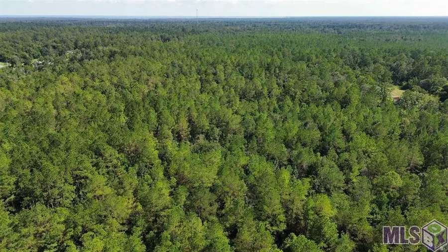 TBD Golden St, Killian, LA 70462 - #3