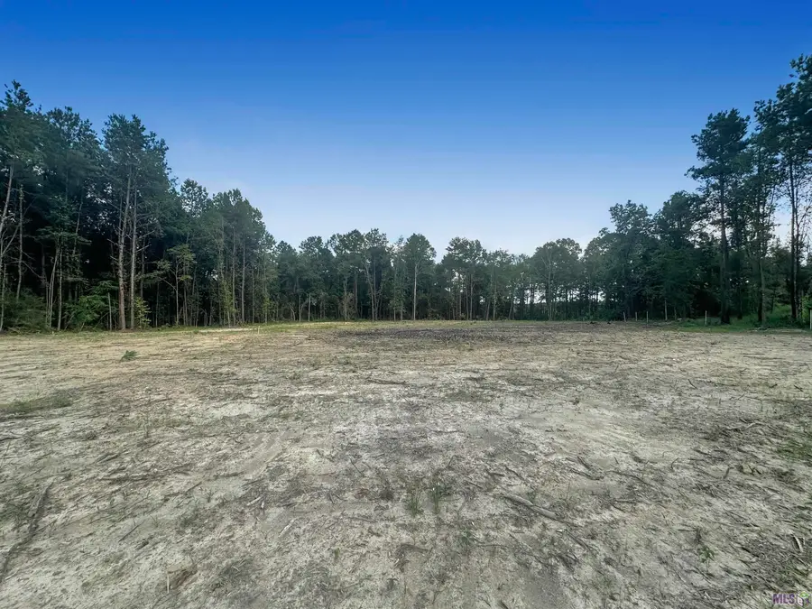 14342 Springfield Rd, Walker, LA 70785 - #2