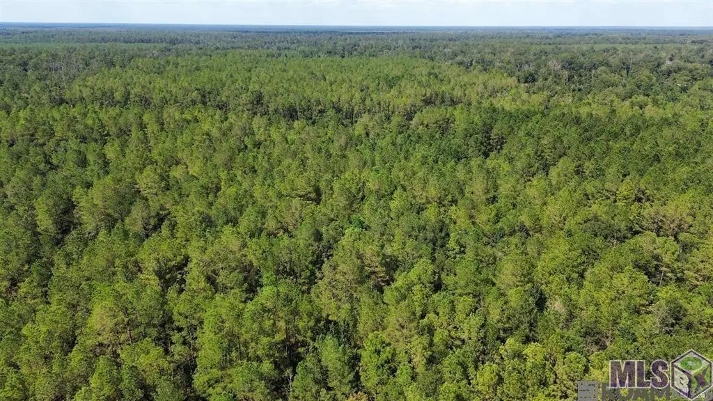 TBD Golden St, Killian, LA 70462 - #1