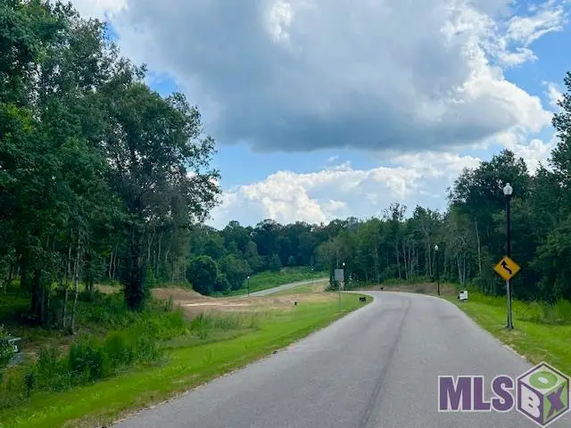 4040 Oak Run Dr, Saint Francisville, LA 70775 - #1