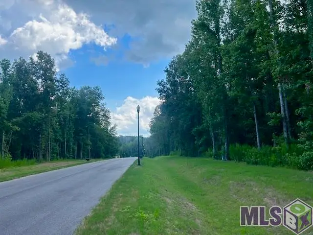 4045 Oak Run Dr, Saint Francisville, LA 70775 - #1