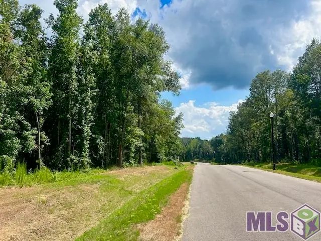 4045 Oak Run Dr, Saint Francisville, LA 70775 - #3