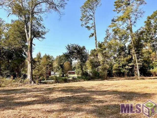 TBD Catholic Hall Rd, Albany, LA 70711 - #3