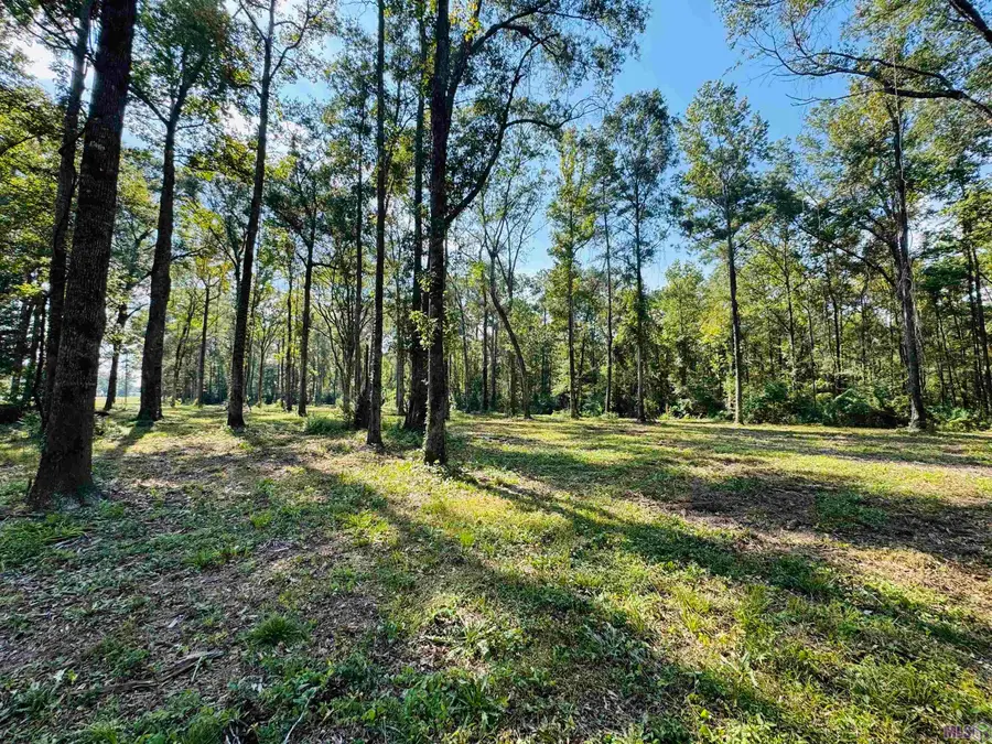 RS-4 La Hwy 16, Denham Springs, LA 70706 - #2