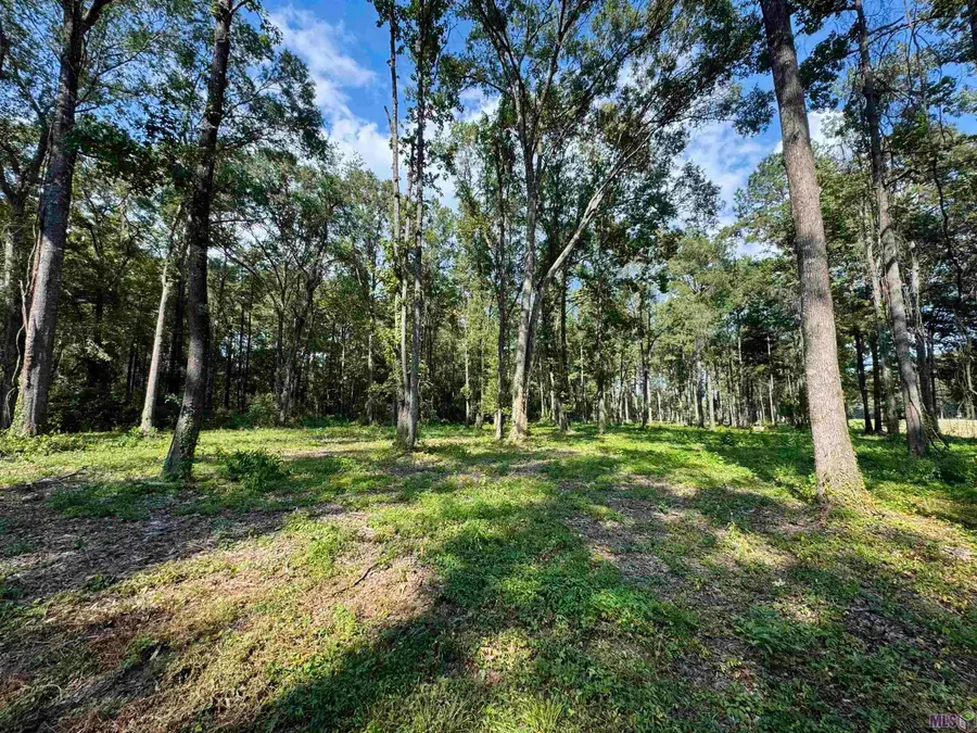 RS-4 La Hwy 16, Denham Springs, LA 70706 - #3