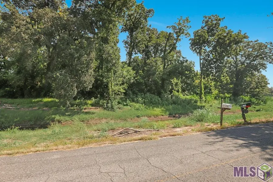 TBD LOT 5-A-1-A New River Canal Rd, Geismar, LA 70734 - #3