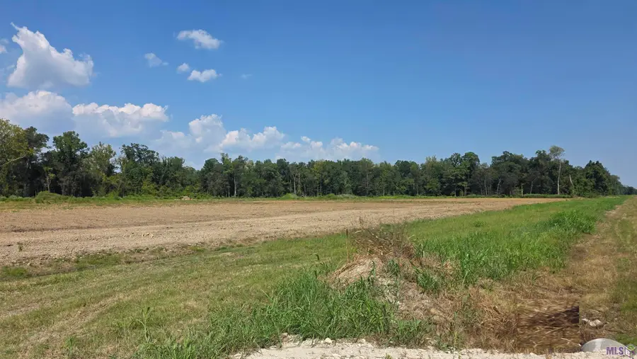 39192 W Edenborne Parkway, Gonzales, LA 70737 - #2