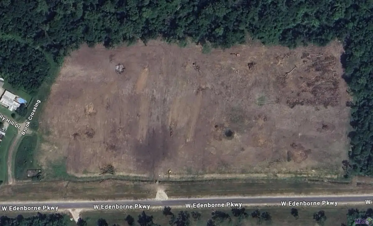 39246 W Edenborne Parkway, Gonzales, LA 70737 - #1