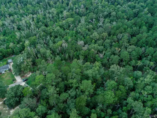 tbd Pinkney Ln, Walker, LA 70785