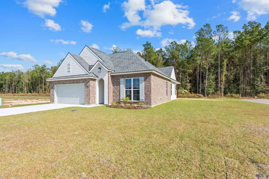 24210 Steller's Sea Drive, Denham Springs, LA 70726 - #2