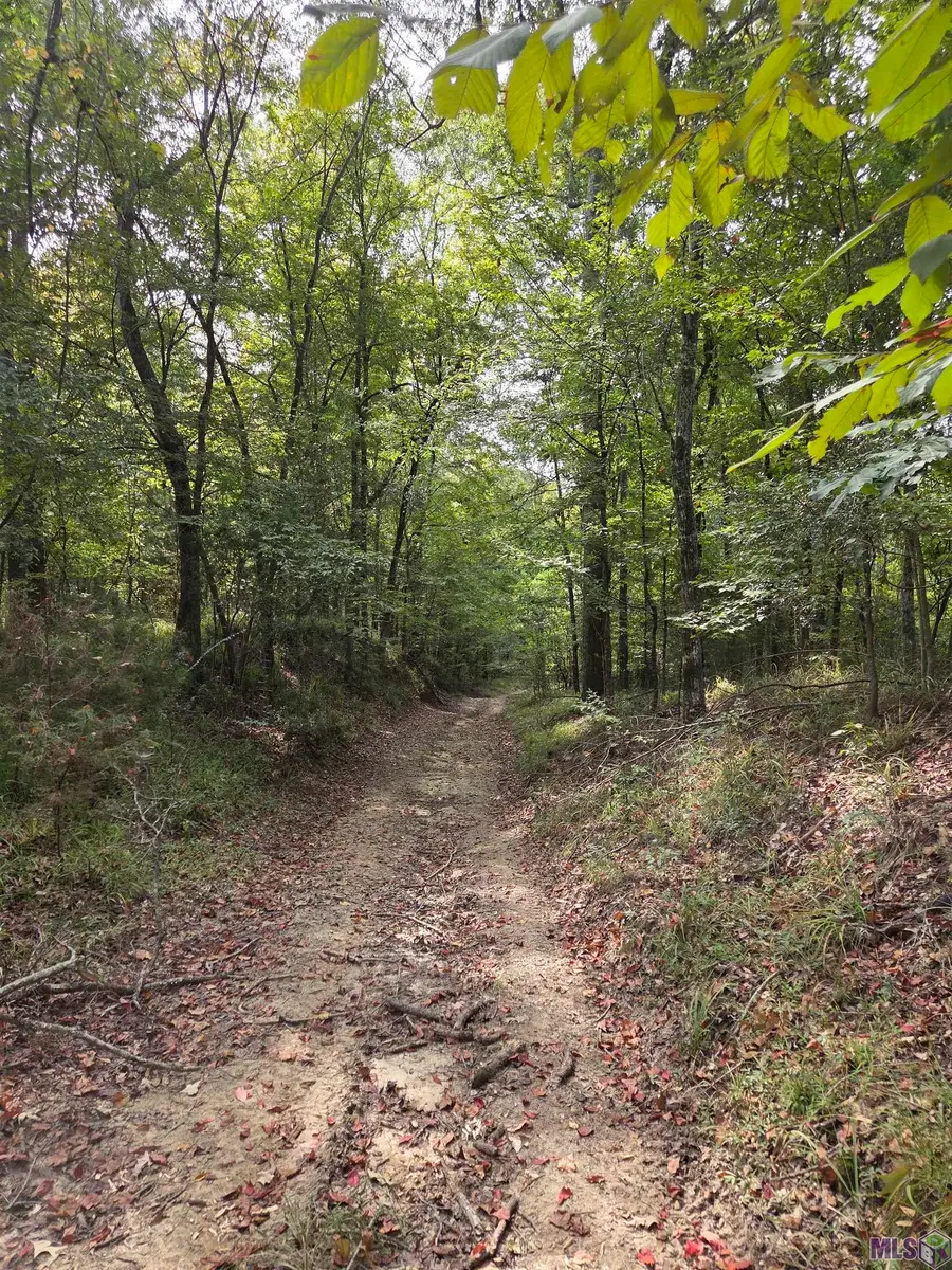 TBD Como Rd, Saint Francisville, LA 70775 - #2