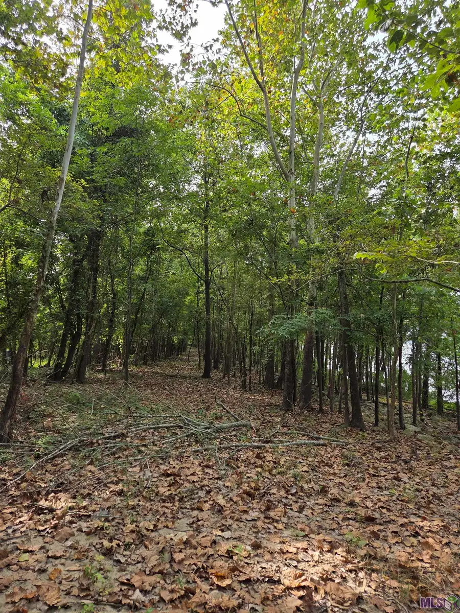 TBD Como Rd, Saint Francisville, LA 70775 - #3