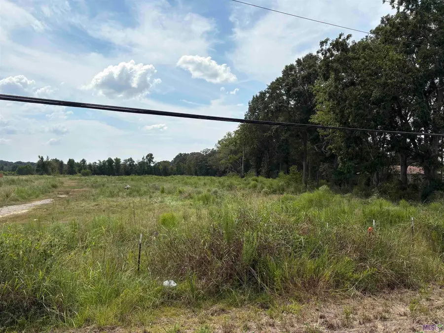 TBD Lower Zachary Rd, Zachary, LA 70791 - #2