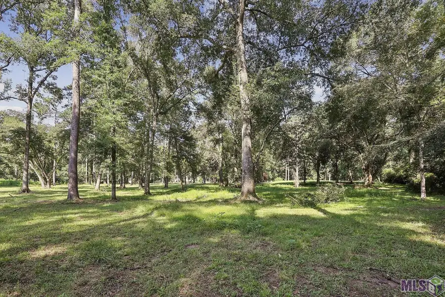 10107 Long Leaf Lane, Saint Francisville, LA 70775 - #3