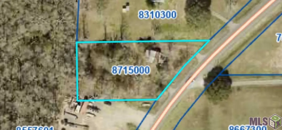 10347 La Hwy 431, Saint Amant, LA 70774 - #1