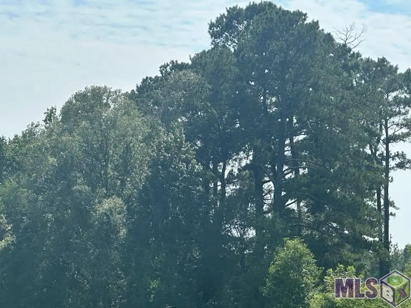 TBD Uti Moore Rd, Denham Springs, LA 70706 - #3