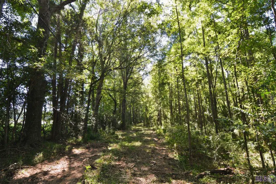 8225 Tunica Trace, Saint Francisville, LA 70775 - #3