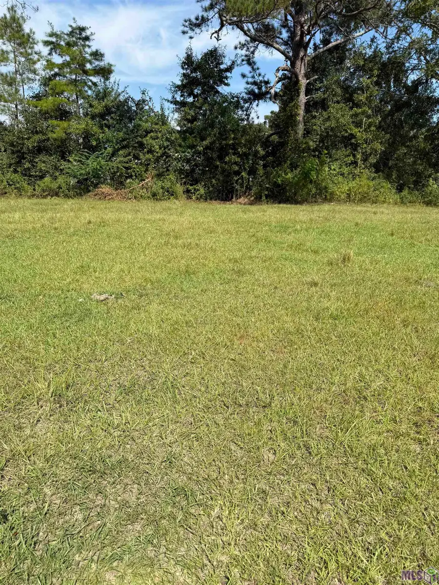 Tract B-1,2,3 Lockhart Rd, Denham Springs, LA 70726 - #2