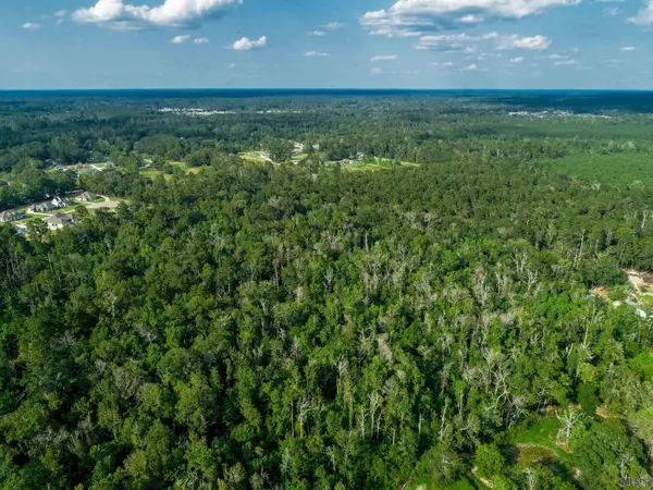 tbd Pinkney Ln, Walker, LA 70785