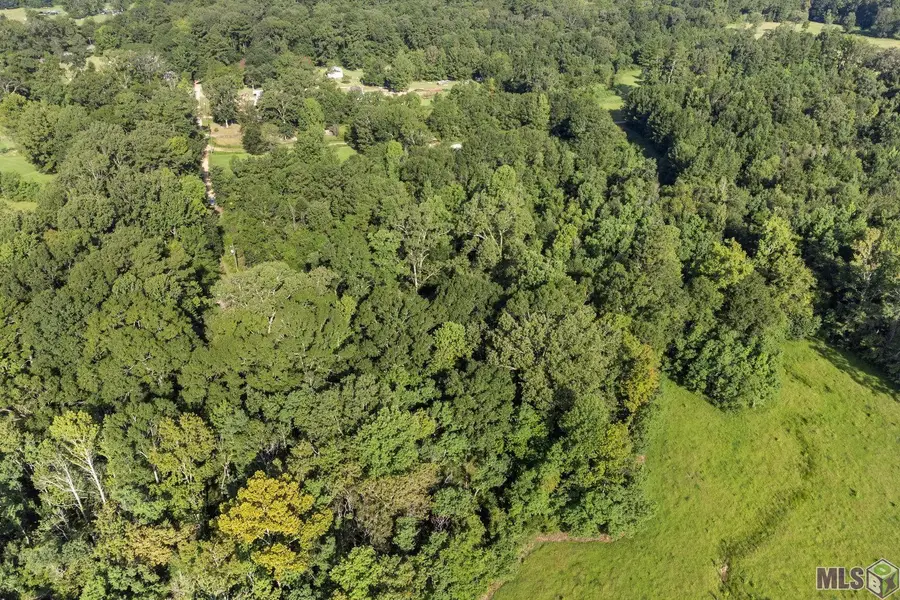 TBD Port Hudson Pride Rd, Pride, LA 70770 - #3