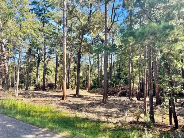 15902 Chaumont Ave, Central, LA 70739