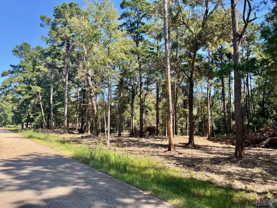 15912 Chaumont Ave, Central, LA 70739 - #2