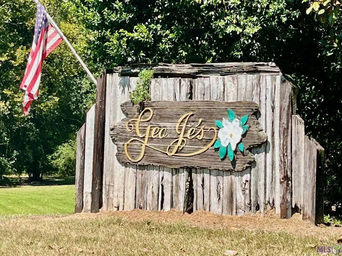 16114 Chaumont Ave, Central, LA 70739 - #1