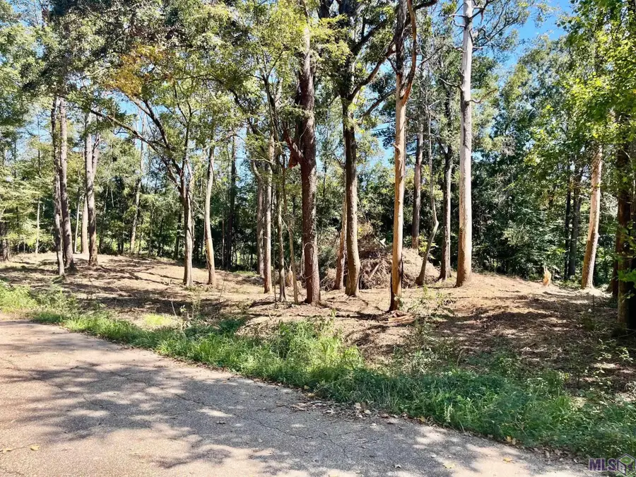 16114 Chaumont Ave, Central, LA 70739 - #2