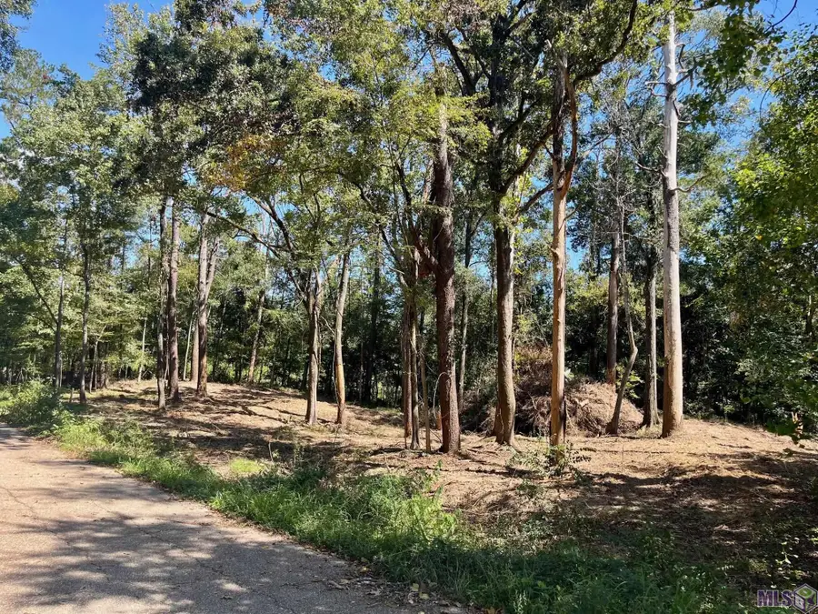 16114 Chaumont Ave, Central, LA 70739 - #3