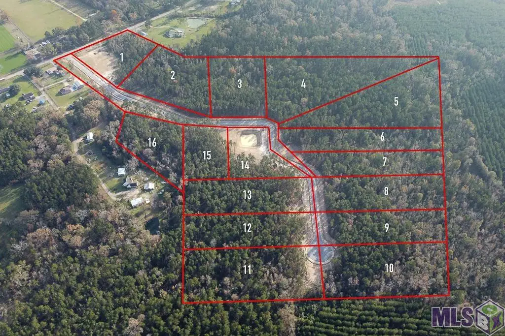 18413 Settlement Trace, Livingston, LA 70754 - #1