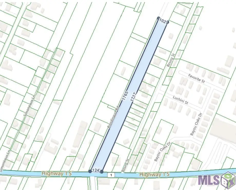 106 Rondinaud Rd, Donaldsonville, LA 70346 - #1