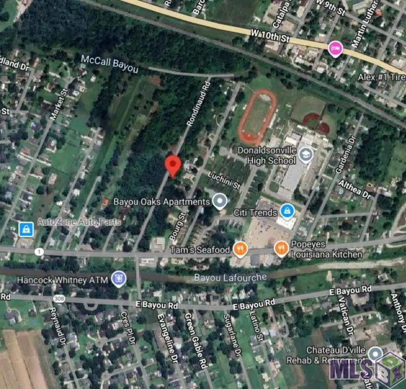 106 Rondinaud Rd, Donaldsonville, LA 70346 - #2