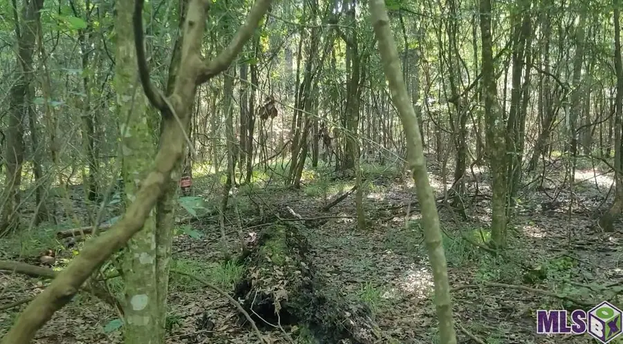 26799-26355 Greenwell Springs Rd, Greenwell Springs, LA 70739 - #2