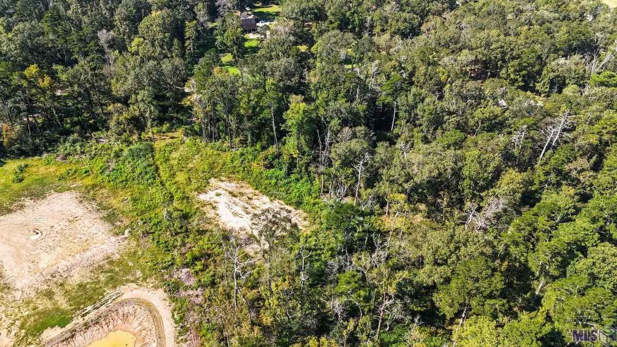 8637 Wildwood Dr, Denham Springs, LA 70706 - #1