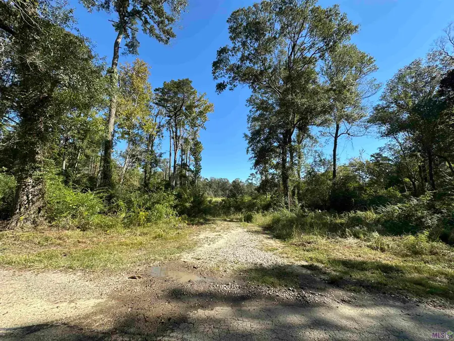 8637 Wildwood Dr, Denham Springs, LA 70706 - #2