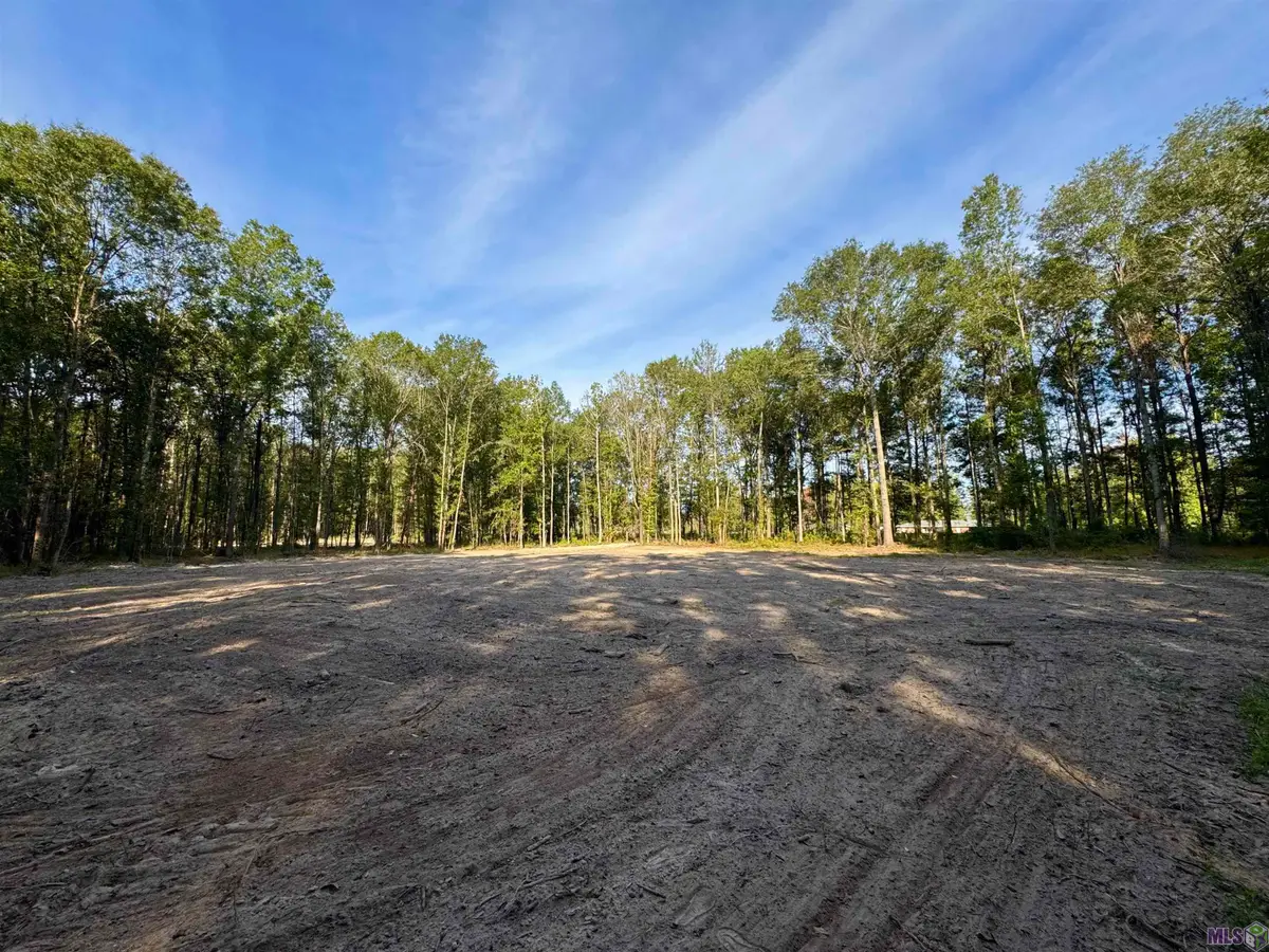 SF-11 La Hwy 16, Denham Springs, LA 70706 - #1