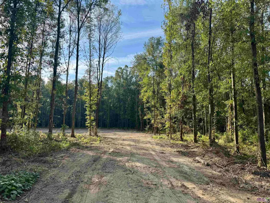 SF-11 La Hwy 16, Denham Springs, LA 70706 - #2