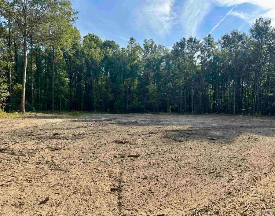 SF-11 La Hwy 16, Denham Springs, LA 70706 - #3