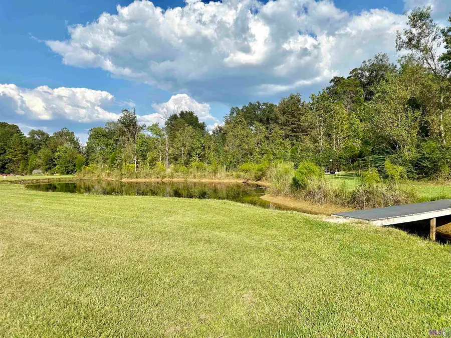 17052 Nathans Lane, Prairieville, LA 70769 - #2