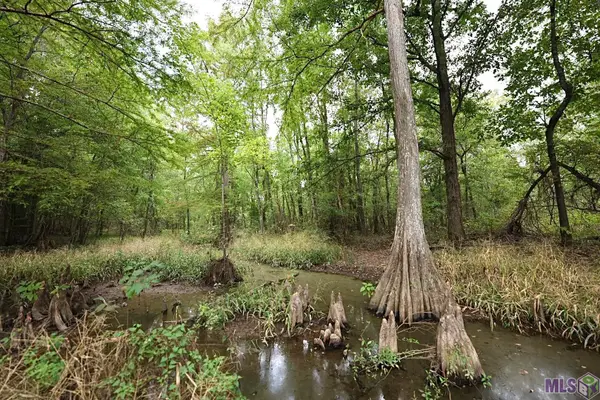 211 Fred Rogers Road, Montgomery, LA 70394