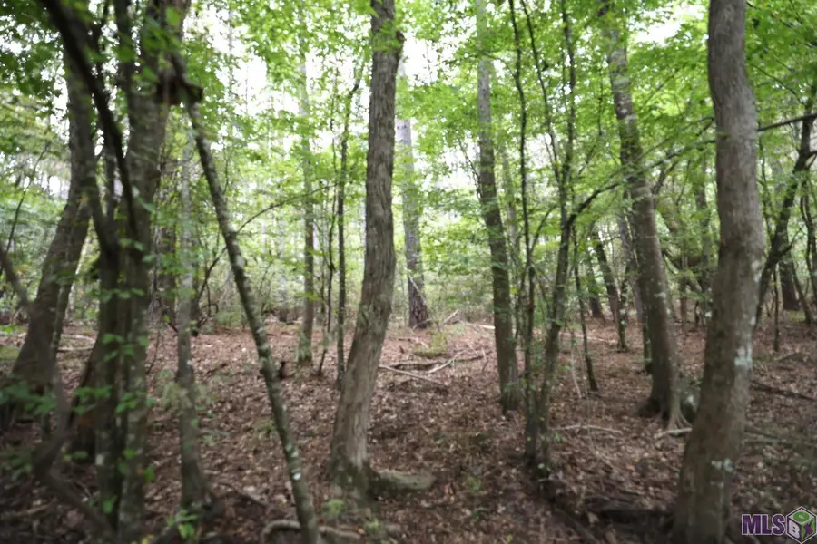 211 Fred Rogers Road, Montgomery, LA 70394 - #2