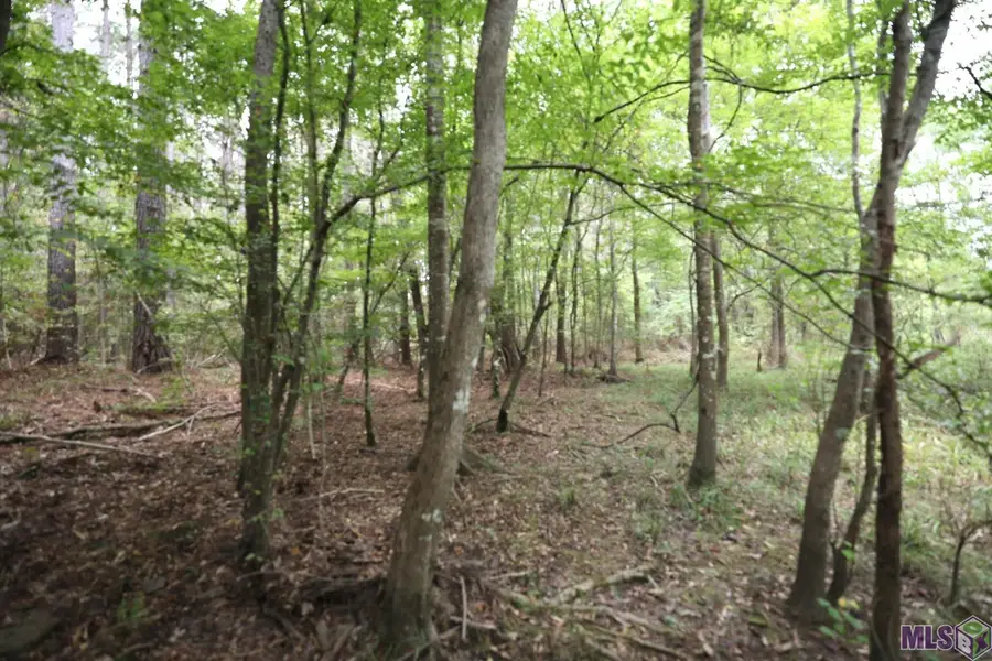 211 Fred Rogers Road, Montgomery, LA 70394 - #3