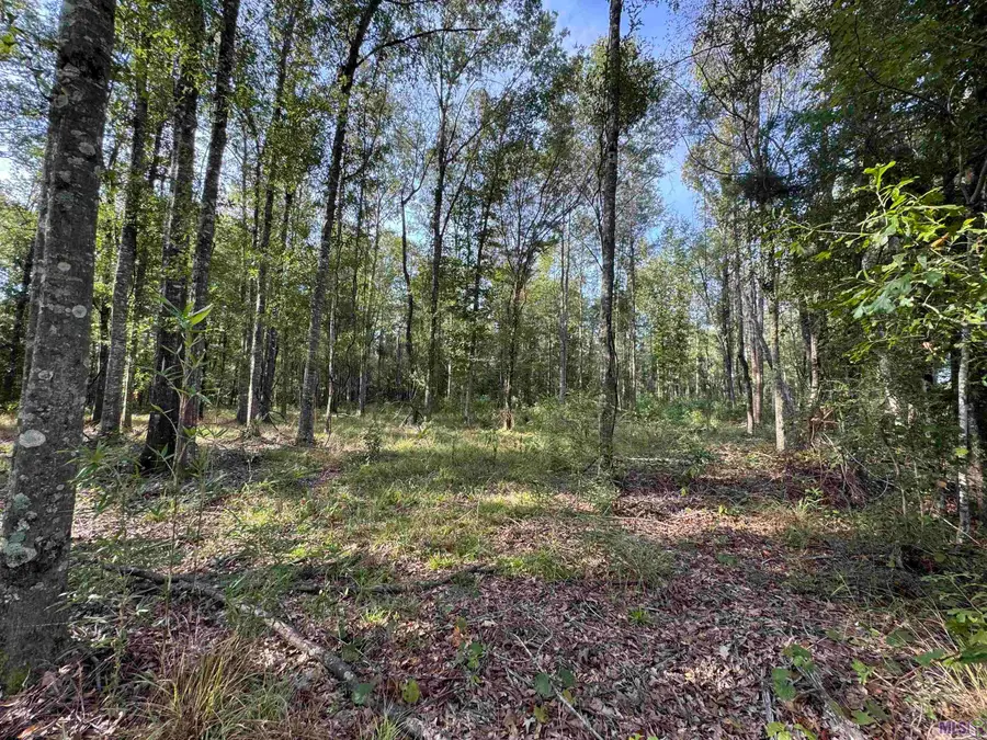 SF-13&14 La Hwy 16, Denham Springs, LA 70706 - #2