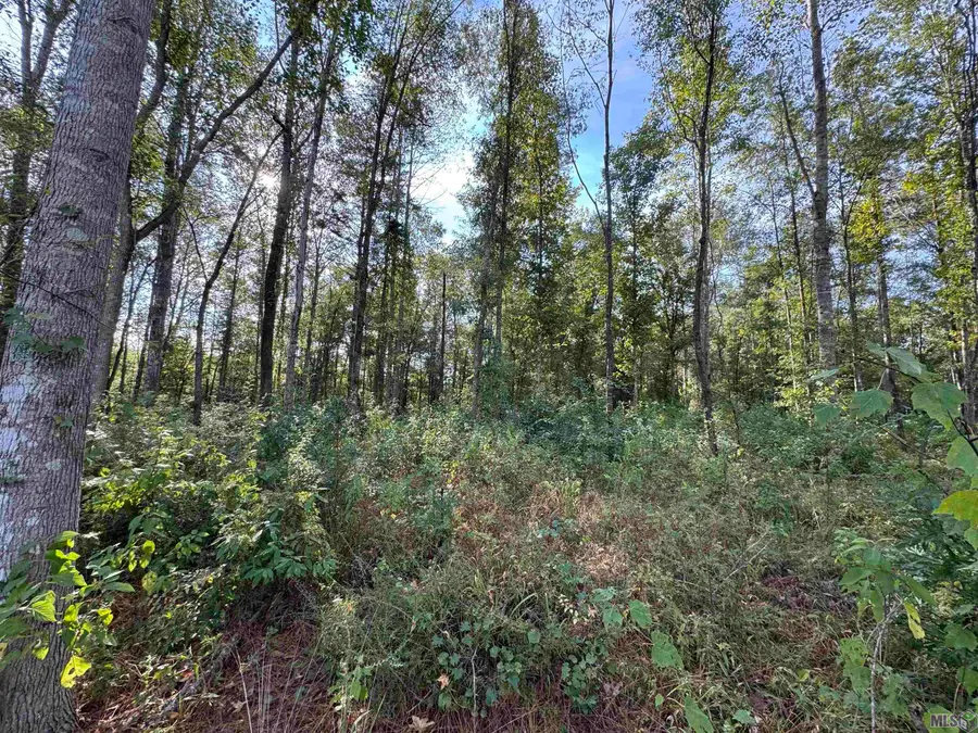 SF-13&14 La Hwy 16, Denham Springs, LA 70706 - #3