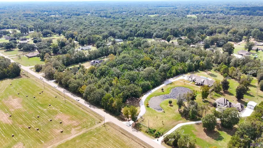 15935 Joor Rd, Zachary, LA 70791 - #3