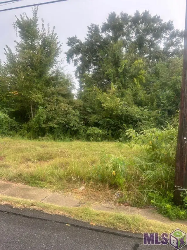 624 Lorri Burgess Ave, Baton Rouge, LA 70802 - #2