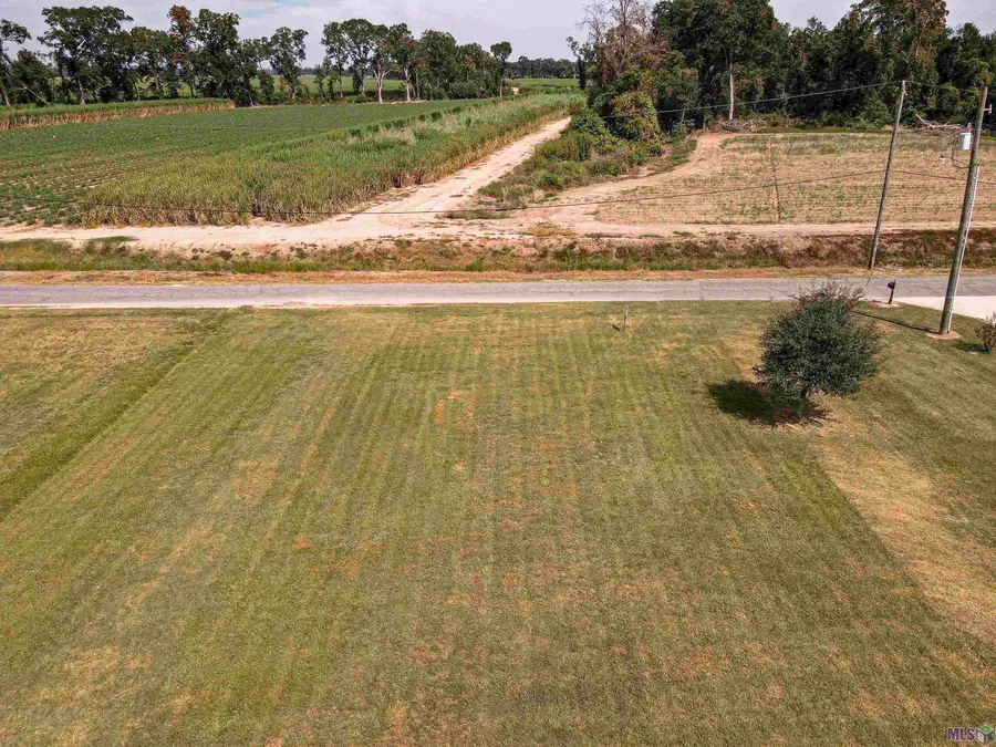 12408 Lorio Dairy Rd, Lakeland, LA 70752 - #2