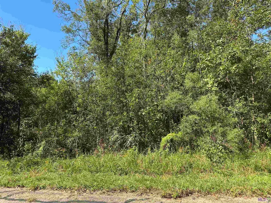 18943 Austin St, Springfield, LA 70462 - #2